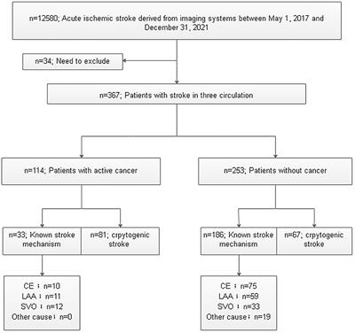 Cancer-related cryptogenic stroke involving the bilateral anterior and the posterior circulations: Diagnostic value of clinical and imaging characteristics